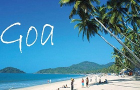 Anaimudi tour adn Travels