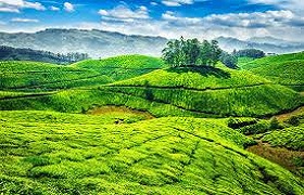 Anaimudi tour adn Travels